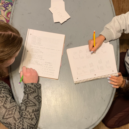 Reevaluating the Importance of Foreign Languages