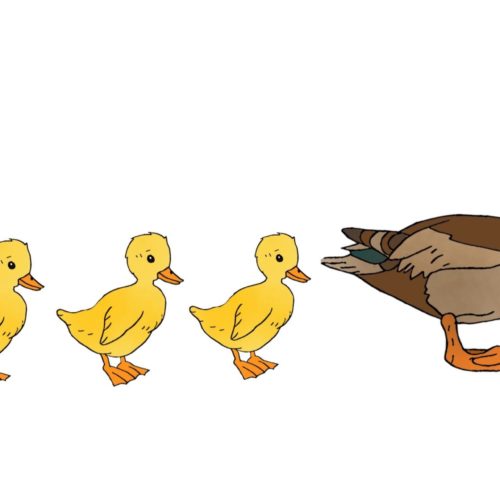 I’m a Follower, Not Inferior