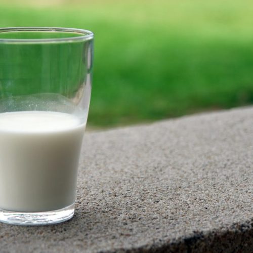 Taking Back the Milk Discourse from White Supremacists