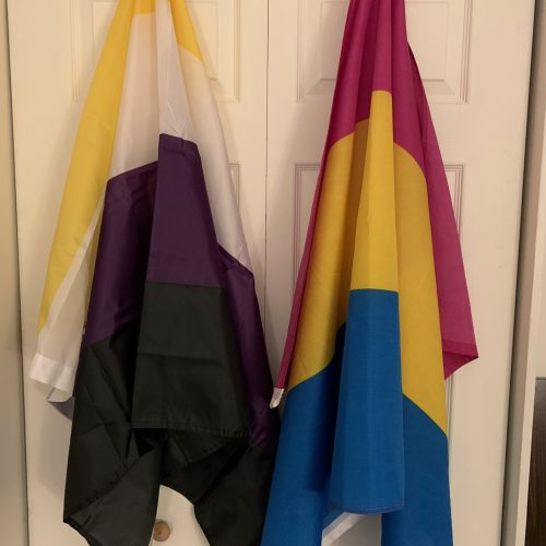 Bisexual or Pansexual? The Many Prefixes of Loving Many Genders