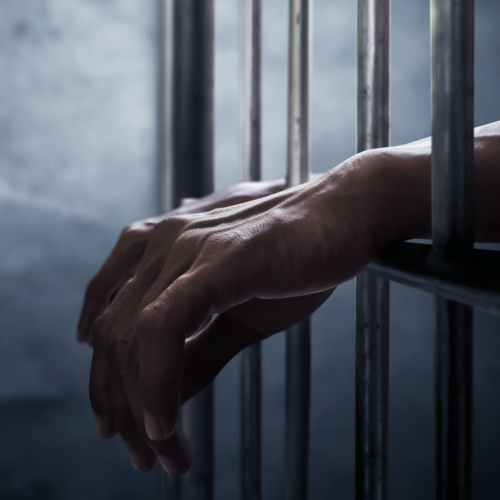 Systematic Dehumanization in American Prisons: A Brief Overview