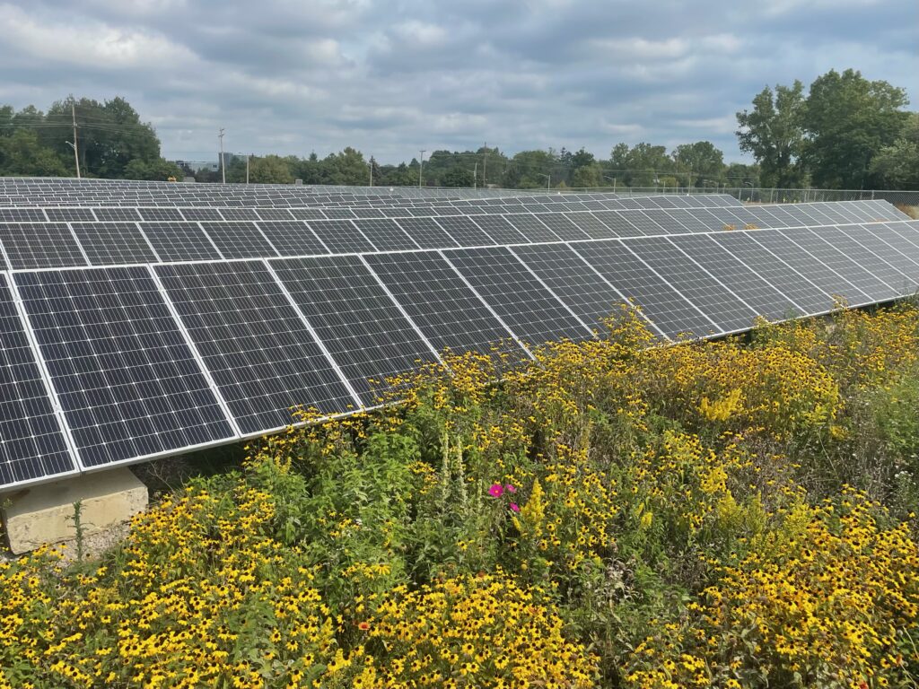 ‘Solar Power’ is Powerless — And Lorde Knows It