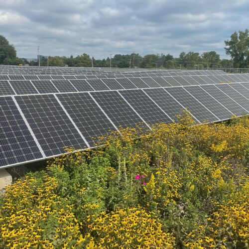 ‘Solar Power’ is Powerless — And Lorde Knows It
