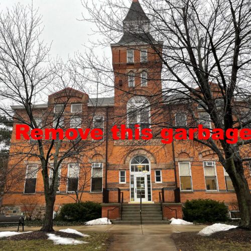 A Modest Proposal For MSU