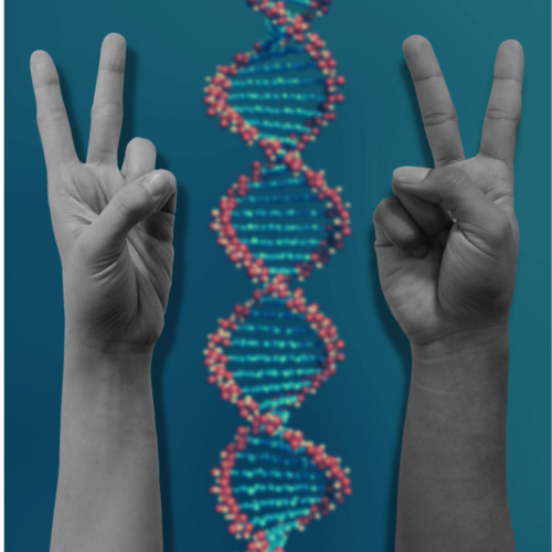 Are Humans Still Evolving?