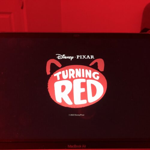 How “Turning Red” is Turning Heads on Social Media