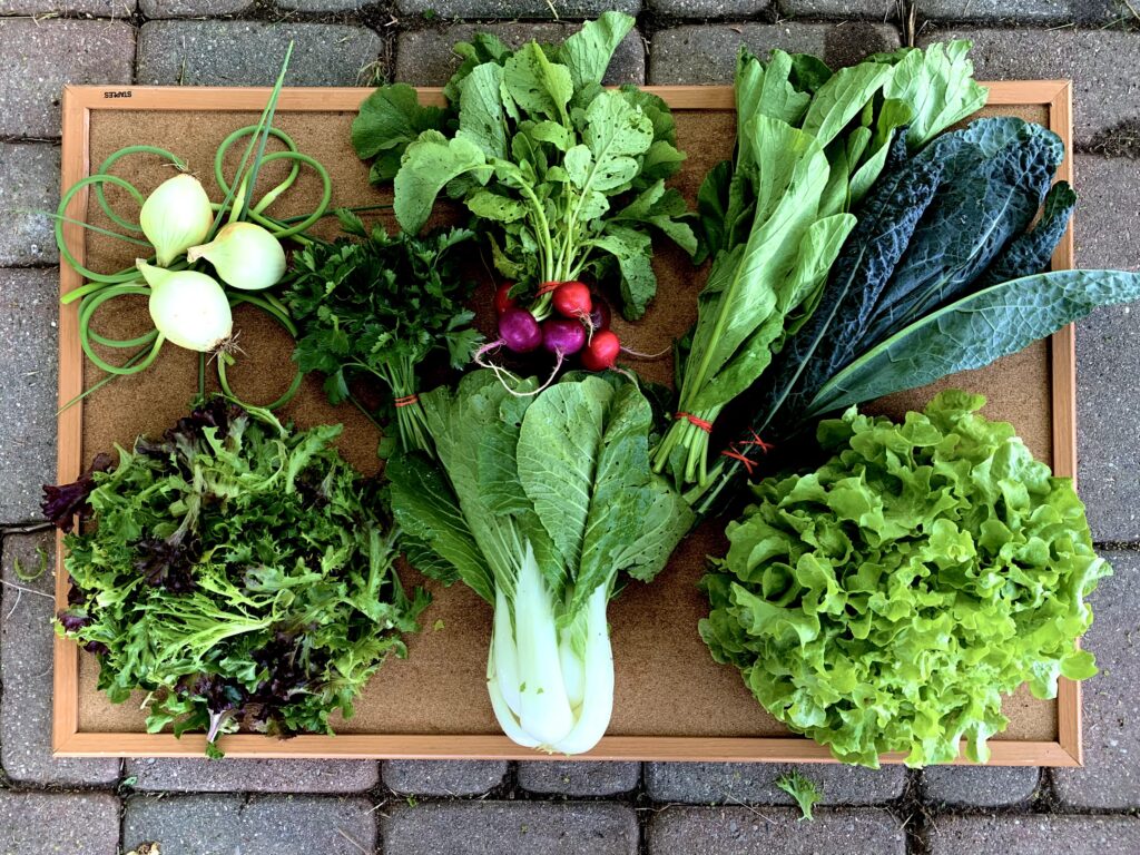 Farm to Table: MSU Student Organic Farm Struggles With Support