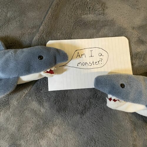 In Defense Of Sharks