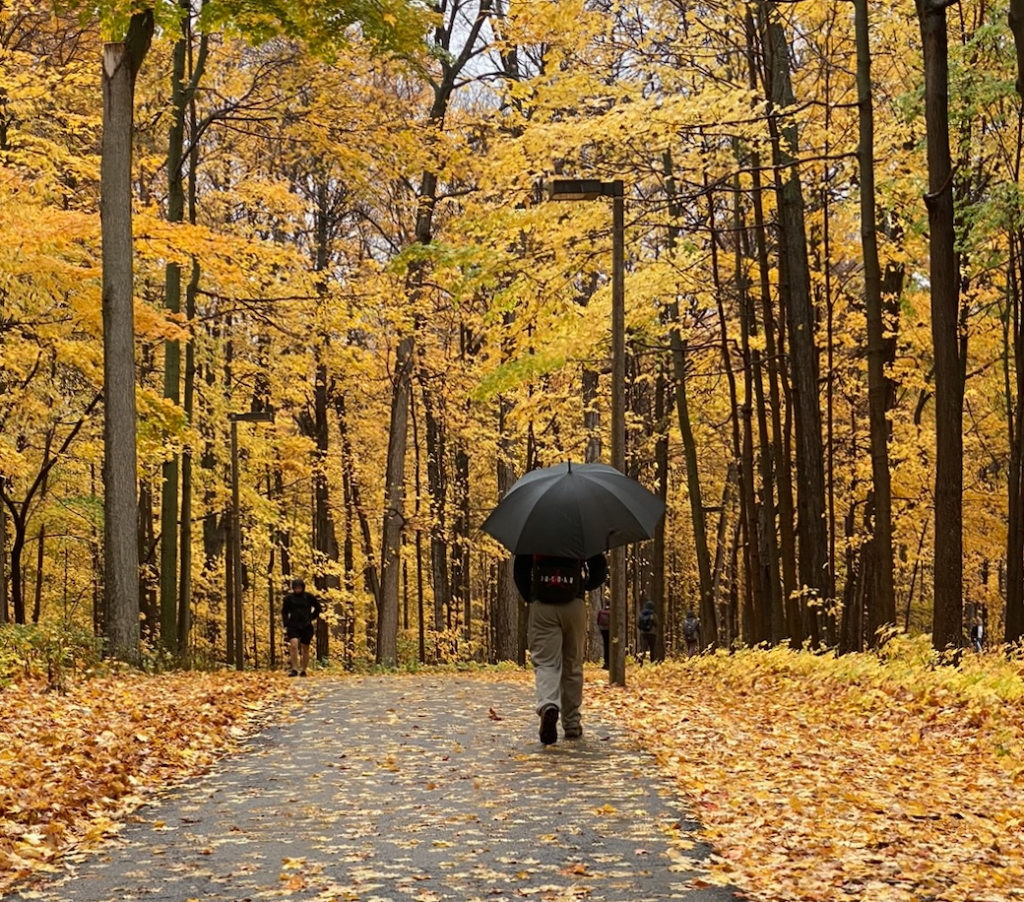 “Pure Michigan” Weather
