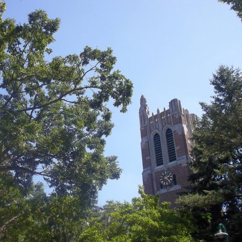 A Love and Hate Letter to MSU