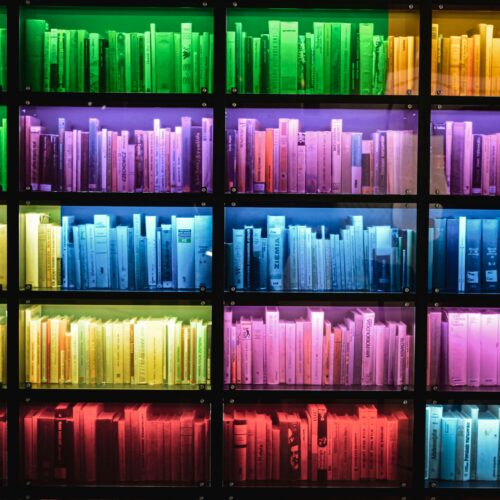 Is BookTok Really as Diverse as They Say?